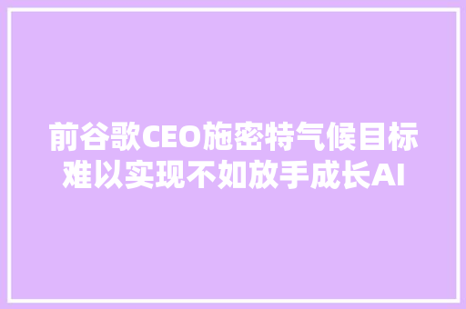 前谷歌CEO施密特气候目标难以实现不如放手成长AI