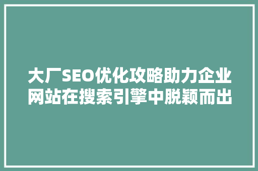 大厂SEO优化攻略助力企业网站在搜索引擎中脱颖而出