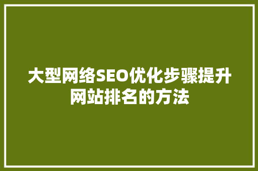 大型网络SEO优化步骤提升网站排名的方法