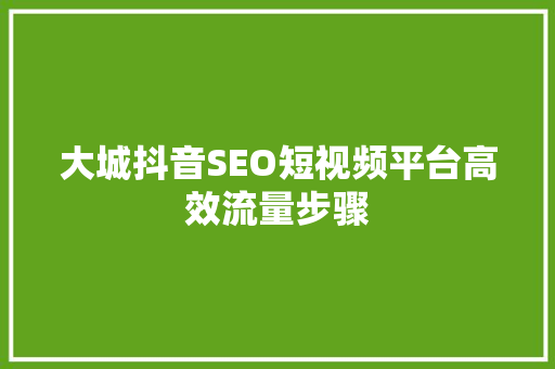 大城抖音SEO短视频平台高效流量步骤