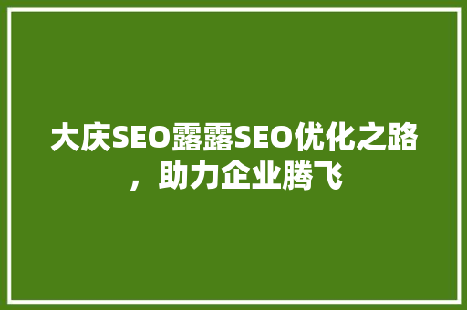 大庆SEO露露SEO优化之路，助力企业腾飞