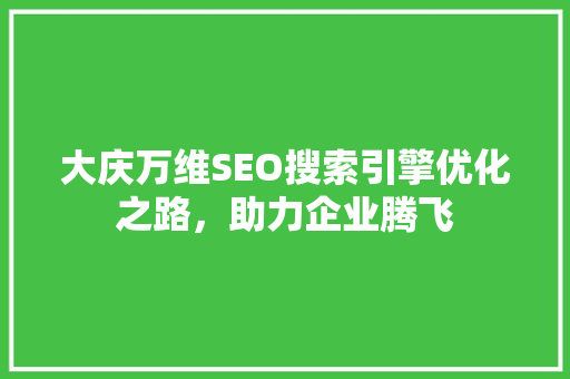 大庆万维SEO搜索引擎优化之路，助力企业腾飞