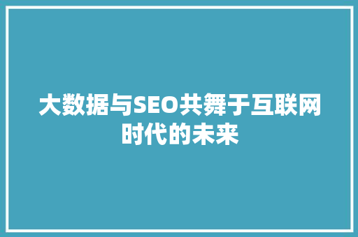 大数据与SEO共舞于互联网时代的未来