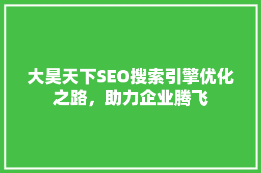 大昊天下SEO搜索引擎优化之路，助力企业腾飞