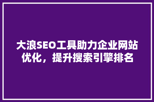 大浪SEO工具助力企业网站优化，提升搜索引擎排名