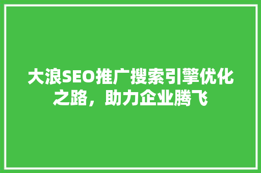 大浪SEO推广搜索引擎优化之路，助力企业腾飞