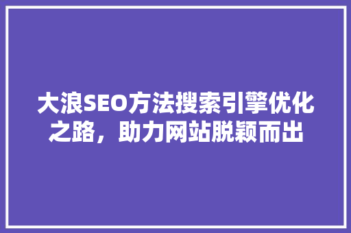 大浪SEO方法搜索引擎优化之路，助力网站脱颖而出