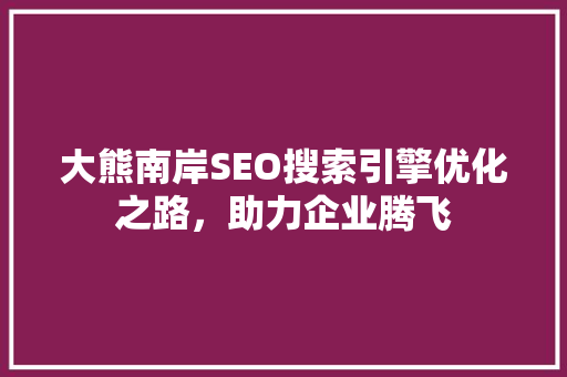 大熊南岸SEO搜索引擎优化之路，助力企业腾飞