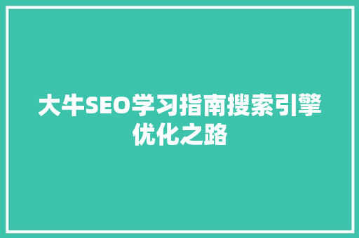 大牛SEO学习指南搜索引擎优化之路