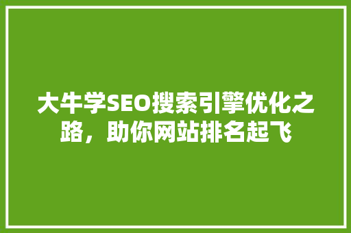 大牛学SEO搜索引擎优化之路，助你网站排名起飞