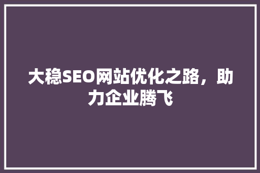 大稳SEO网站优化之路，助力企业腾飞