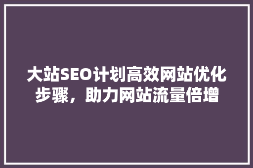 大站SEO计划高效网站优化步骤，助力网站流量倍增