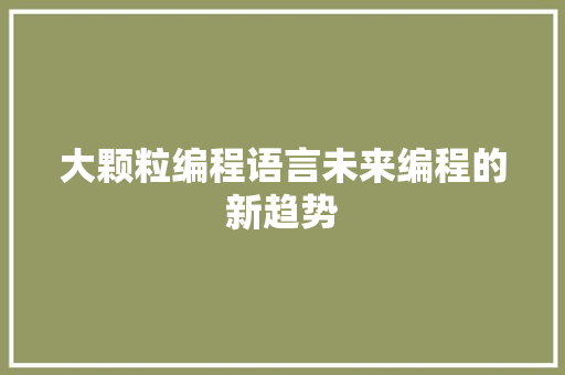 大颗粒编程语言未来编程的新趋势