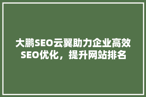 大鹏SEO云翼助力企业高效SEO优化，提升网站排名