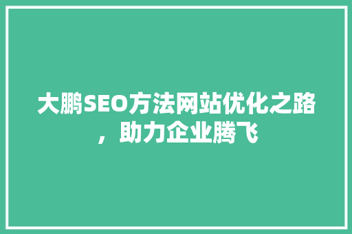 大鹏SEO方法网站优化之路，助力企业腾飞