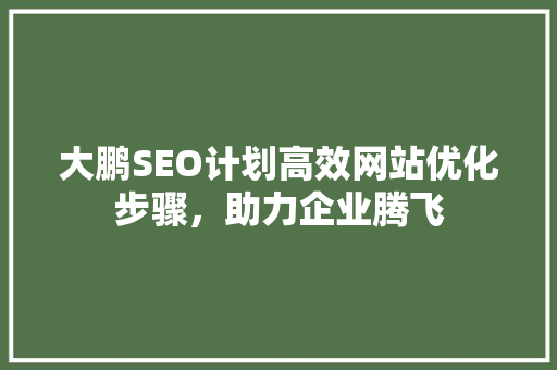 大鹏SEO计划高效网站优化步骤，助力企业腾飞