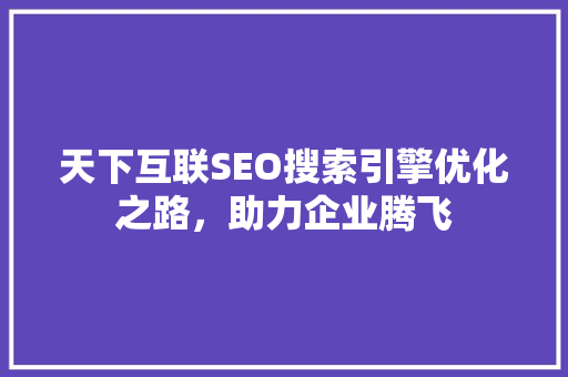 天下互联SEO搜索引擎优化之路，助力企业腾飞