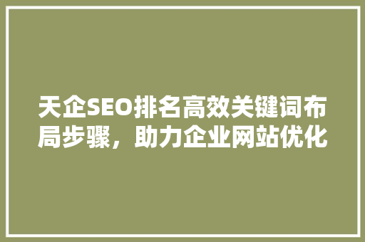 天企SEO排名高效关键词布局步骤，助力企业网站优化