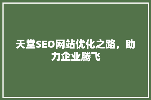 天堂SEO网站优化之路，助力企业腾飞