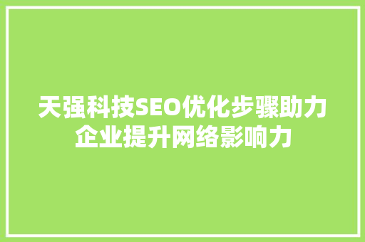 天强科技SEO优化步骤助力企业提升网络影响力