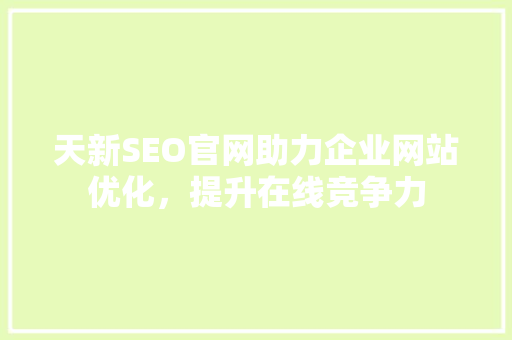 天新SEO官网助力企业网站优化，提升在线竞争力