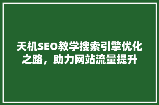 天机SEO教学搜索引擎优化之路，助力网站流量提升