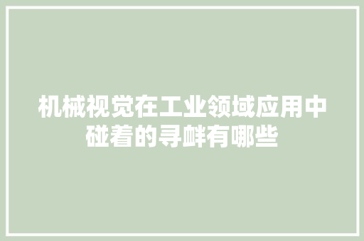 机械视觉在工业领域应用中碰着的寻衅有哪些