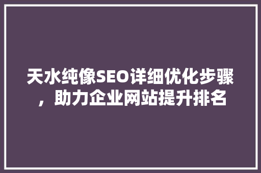 天水纯像SEO详细优化步骤，助力企业网站提升排名