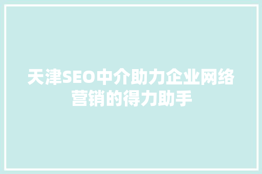 天津SEO中介助力企业网络营销的得力助手