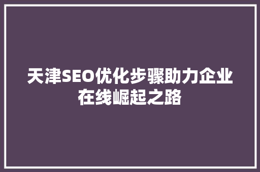 天津SEO优化步骤助力企业在线崛起之路