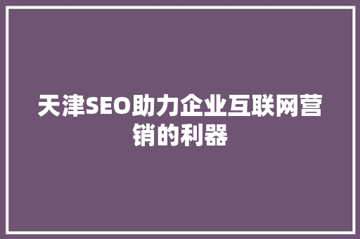 天津SEO助力企业互联网营销的利器