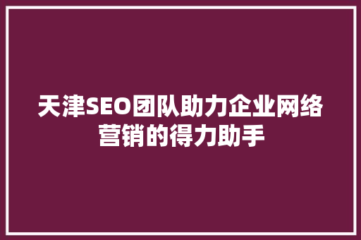 天津SEO团队助力企业网络营销的得力助手