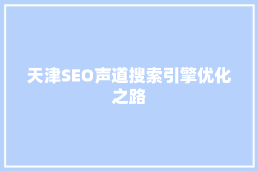 天津SEO声道搜索引擎优化之路