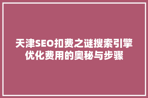 天津SEO扣费之谜搜索引擎优化费用的奥秘与步骤