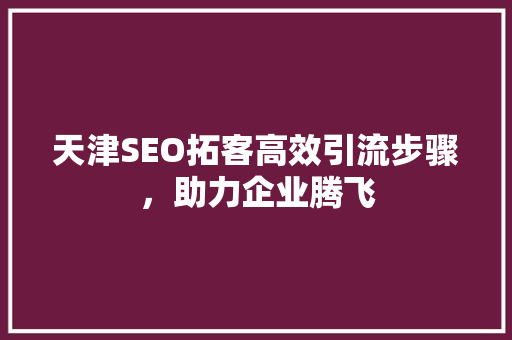 天津SEO拓客高效引流步骤，助力企业腾飞