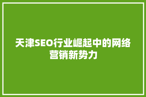 天津SEO行业崛起中的网络营销新势力