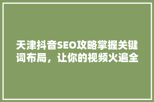 天津抖音SEO攻略掌握关键词布局，让你的视频火遍全网！