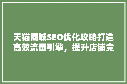 天猫商城SEO优化攻略打造高效流量引擎，提升店铺竞争力