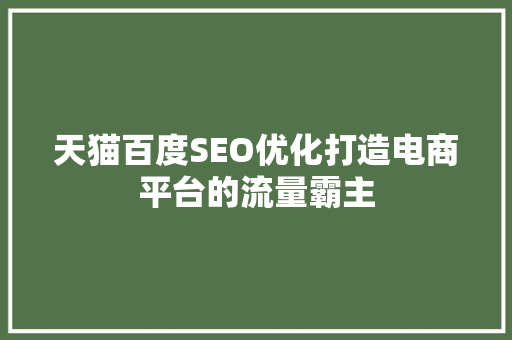 天猫百度SEO优化打造电商平台的流量霸主