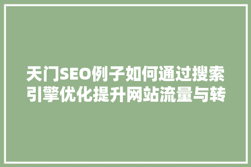 天门SEO例子如何通过搜索引擎优化提升网站流量与转化率