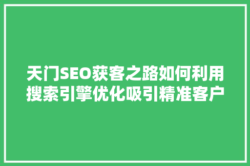 天门SEO获客之路如何利用搜索引擎优化吸引精准客户