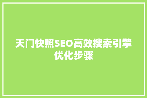 天门快照SEO高效搜索引擎优化步骤