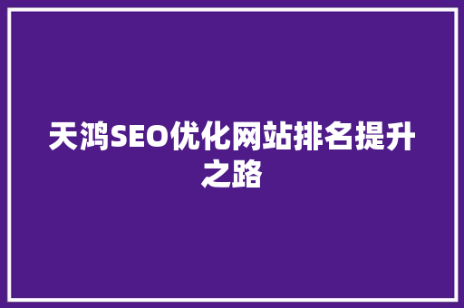 天鸿SEO优化网站排名提升之路