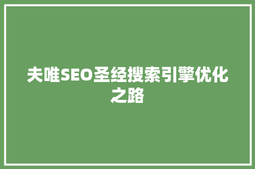 夫唯SEO圣经搜索引擎优化之路