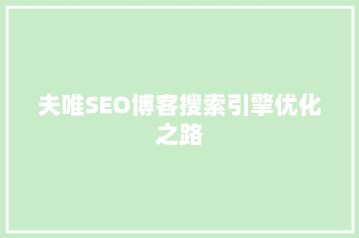 夫唯SEO博客搜索引擎优化之路