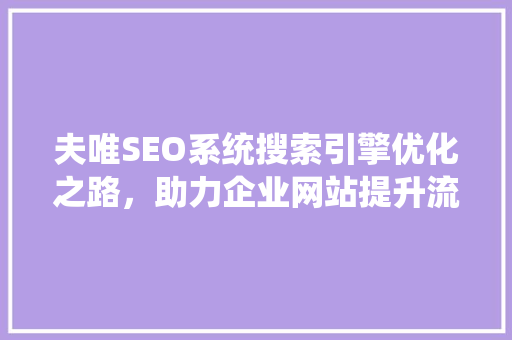 夫唯SEO系统搜索引擎优化之路，助力企业网站提升流量与转化率