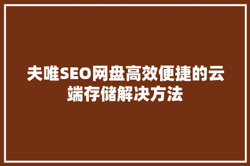 夫唯SEO网盘高效便捷的云端存储解决方法