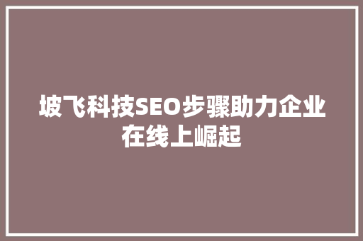 坡飞科技SEO步骤助力企业在线上崛起