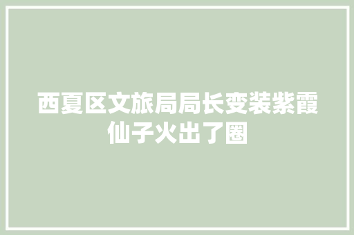 西夏区文旅局局长变装紫霞仙子火出了圈