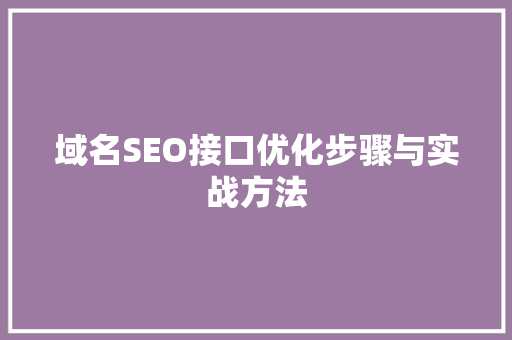 域名SEO接口优化步骤与实战方法